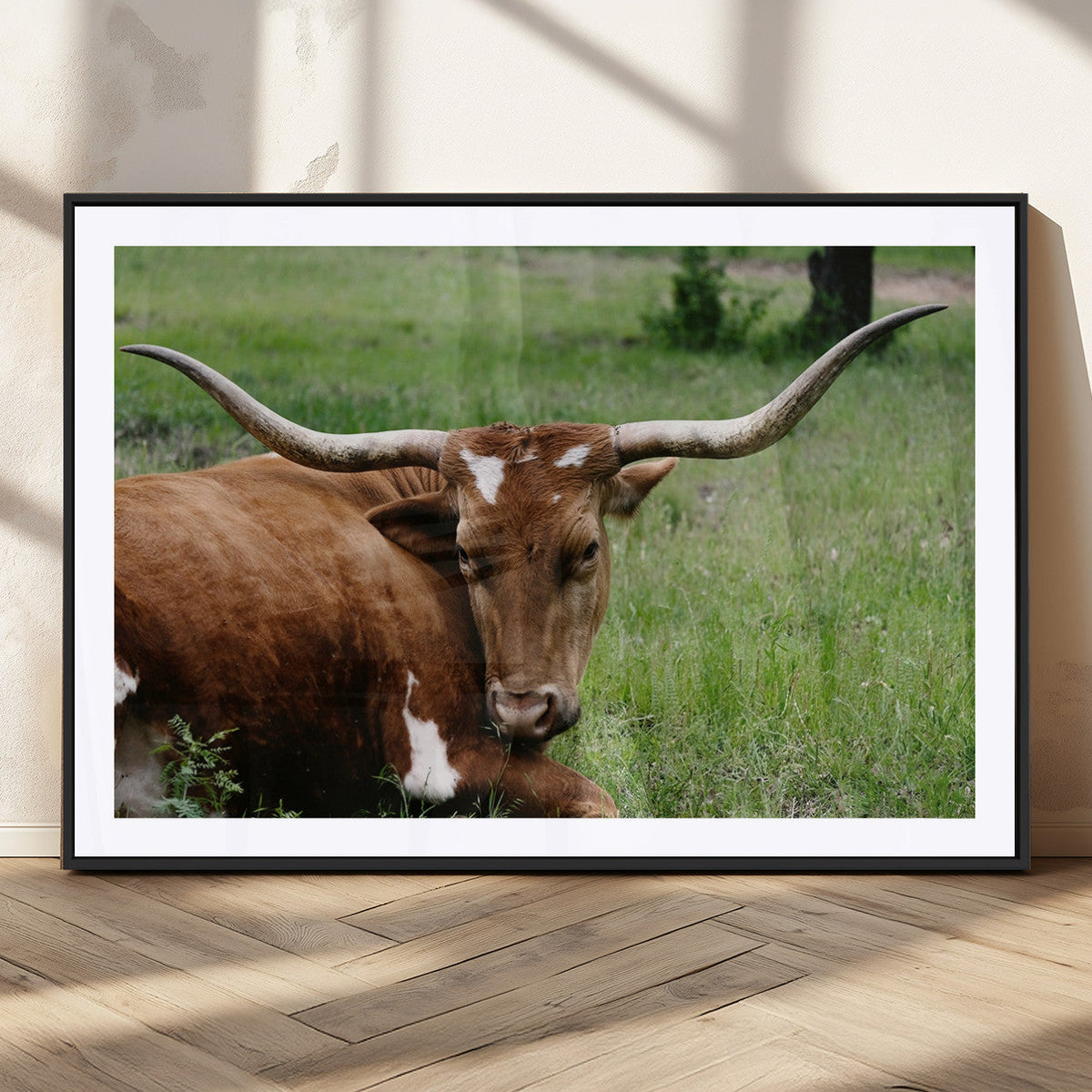Longhorn Cow Animal Wall Art Canvas Print
