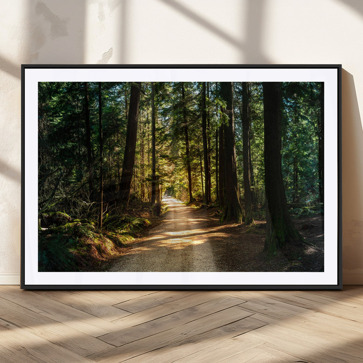 Sunlit Forest Pathway Canvas Print | 3 Panel Large Nature