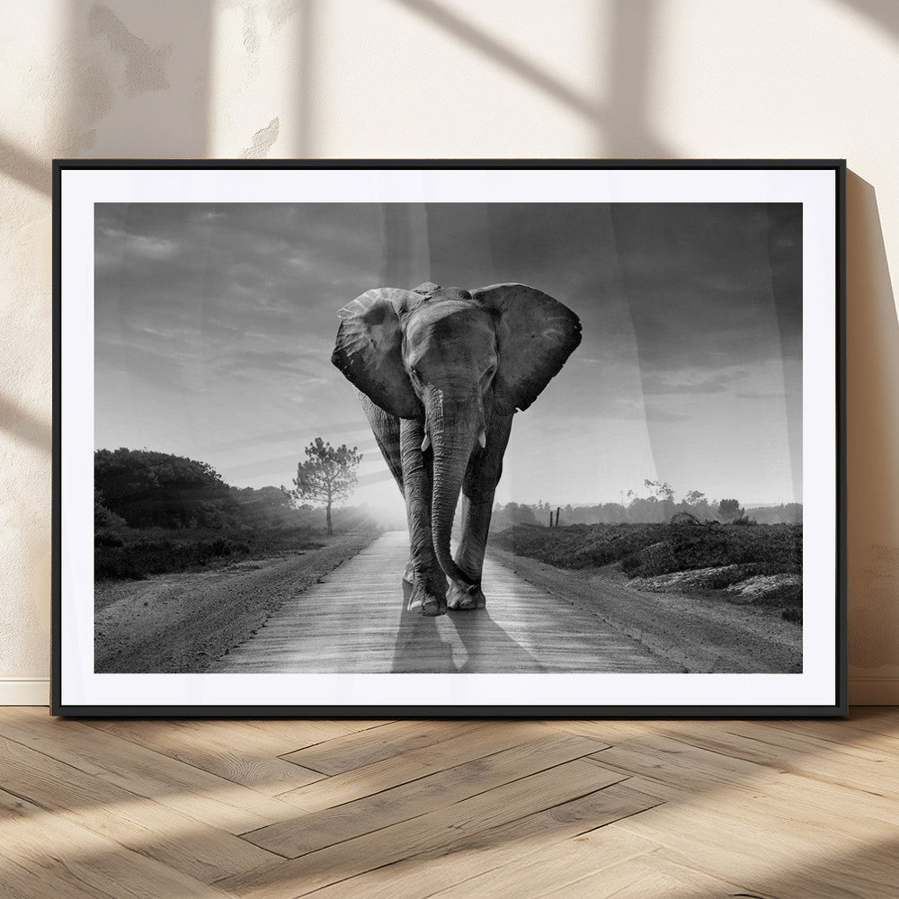 Black and White Elephant Wall Art Canvas Print