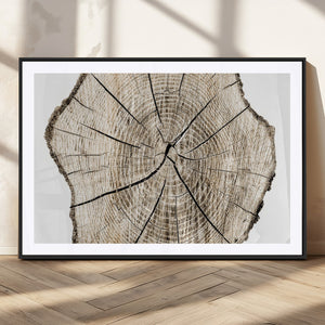 Abstract Wood Tree Ring Wall Art - Ready to Hang Minimalist