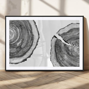Abstract Large Tree Rings – Minimalist Black and White Wood