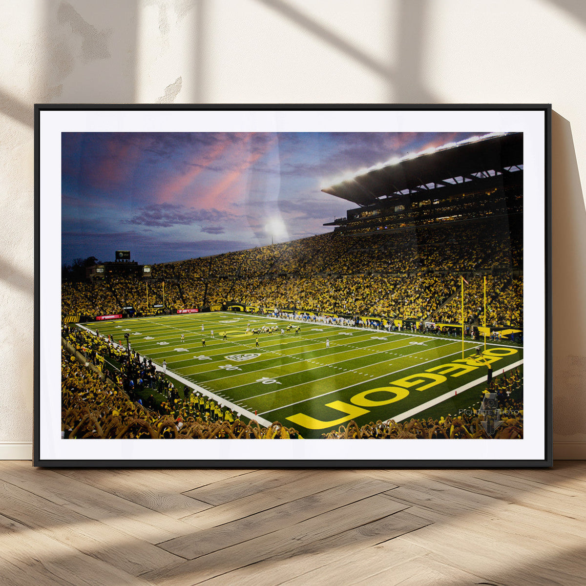 University of Oregon Ducks Football Team Print - Eugene