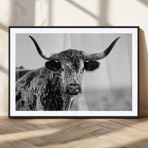 Texas Highland Cow Longhorn Canvas Print - Rustic Farmhouse