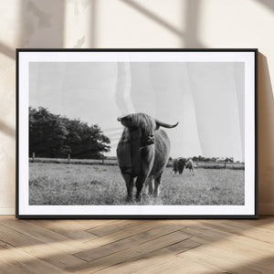Black and White Highland Cow Wall Art Canvas Print | Rustic