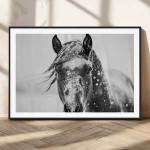 Western Wall Art | Black and White Winter Horse Wall Art |