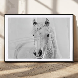 Majestic White Horse Wall Art | Ready to Hang and Framed |