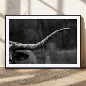 Cow Longhorn Wall Art | Black and White Print | Ready to