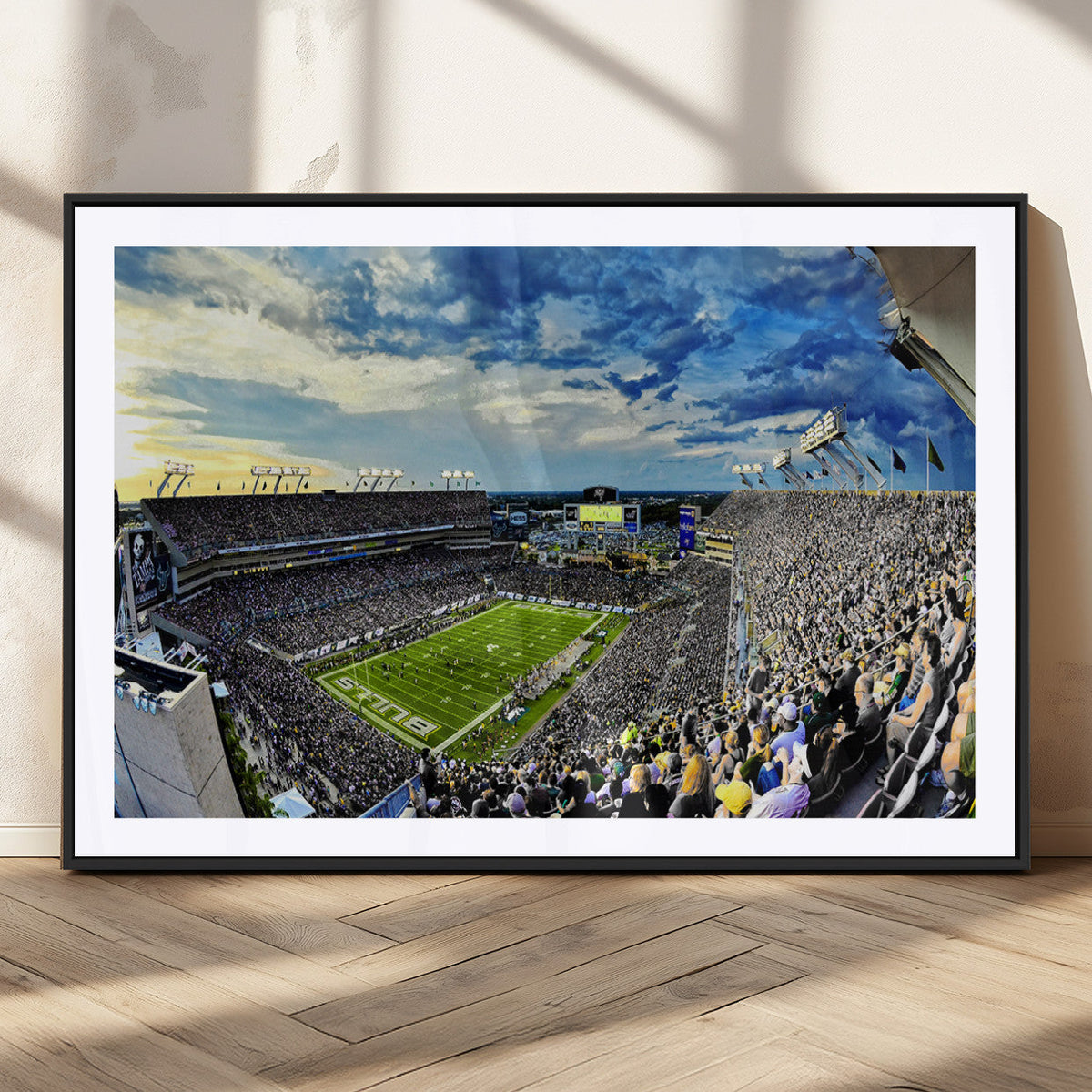 Framed USF Bulls Football Team Print - Tampa Raymond James