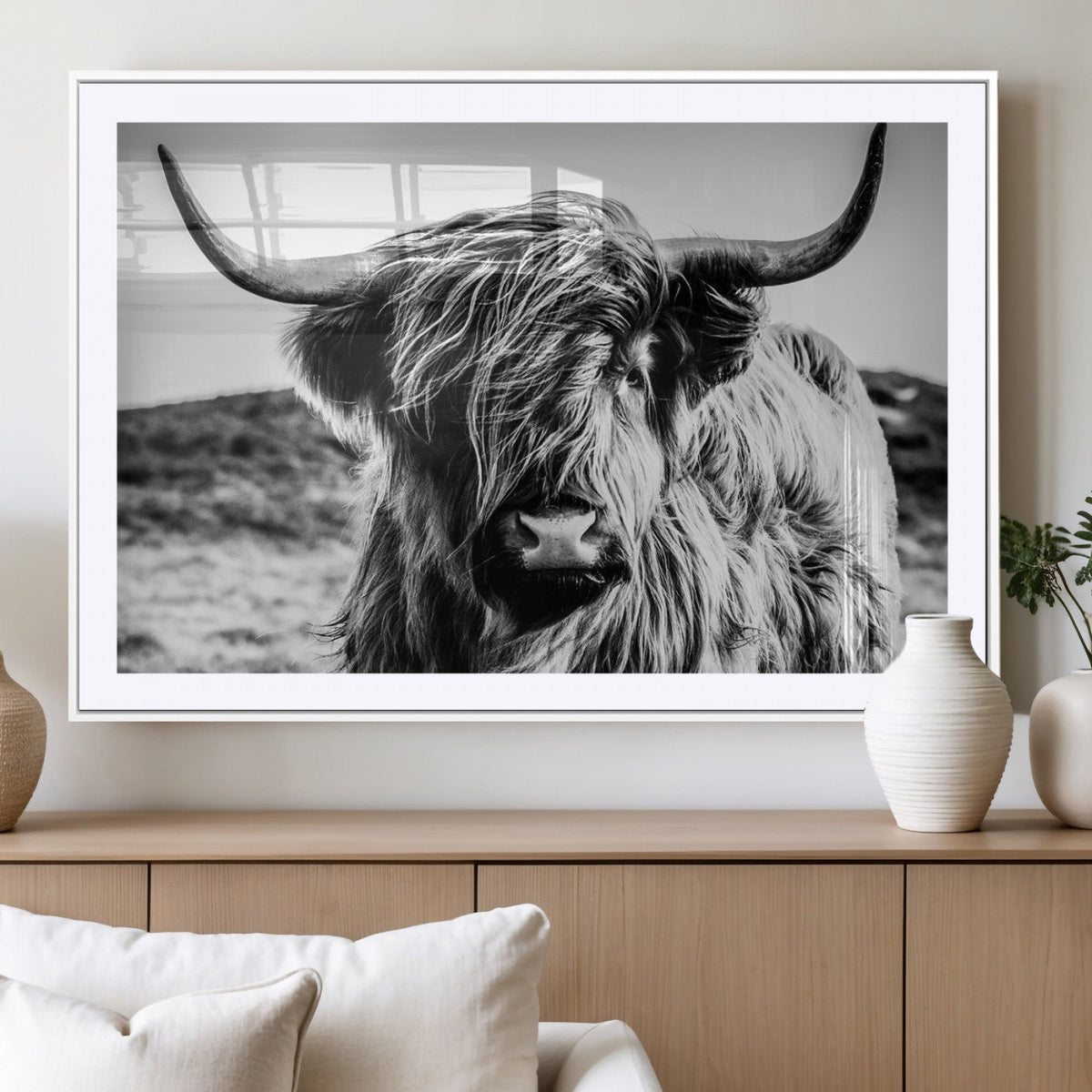 Black and White Scottish Cow Canvas Wall Art Highland Cattle