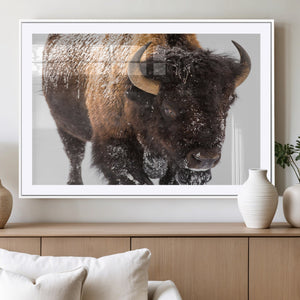 Bison Wall Art Canvas Print For Farmhouse, Wild Animal Wall