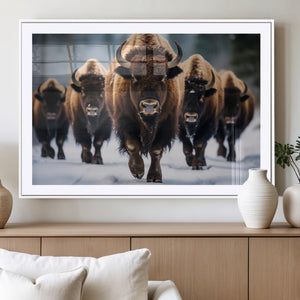 Buffalo Wall Art Canvas Print, American Bison Herd Wall Art