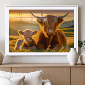 Scottish Cow and Baby Cow Canvas Wall Art Animal Print