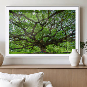 Oak Tree Wall Art Print, Forest Canvas Wall Art for Home and