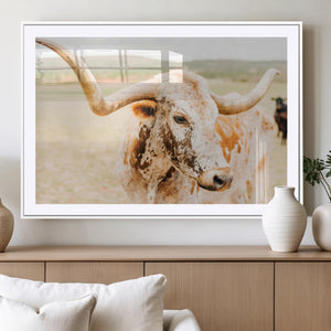 Texas Longhorn Wall Art Canvas Print – Framed Spotted Cow