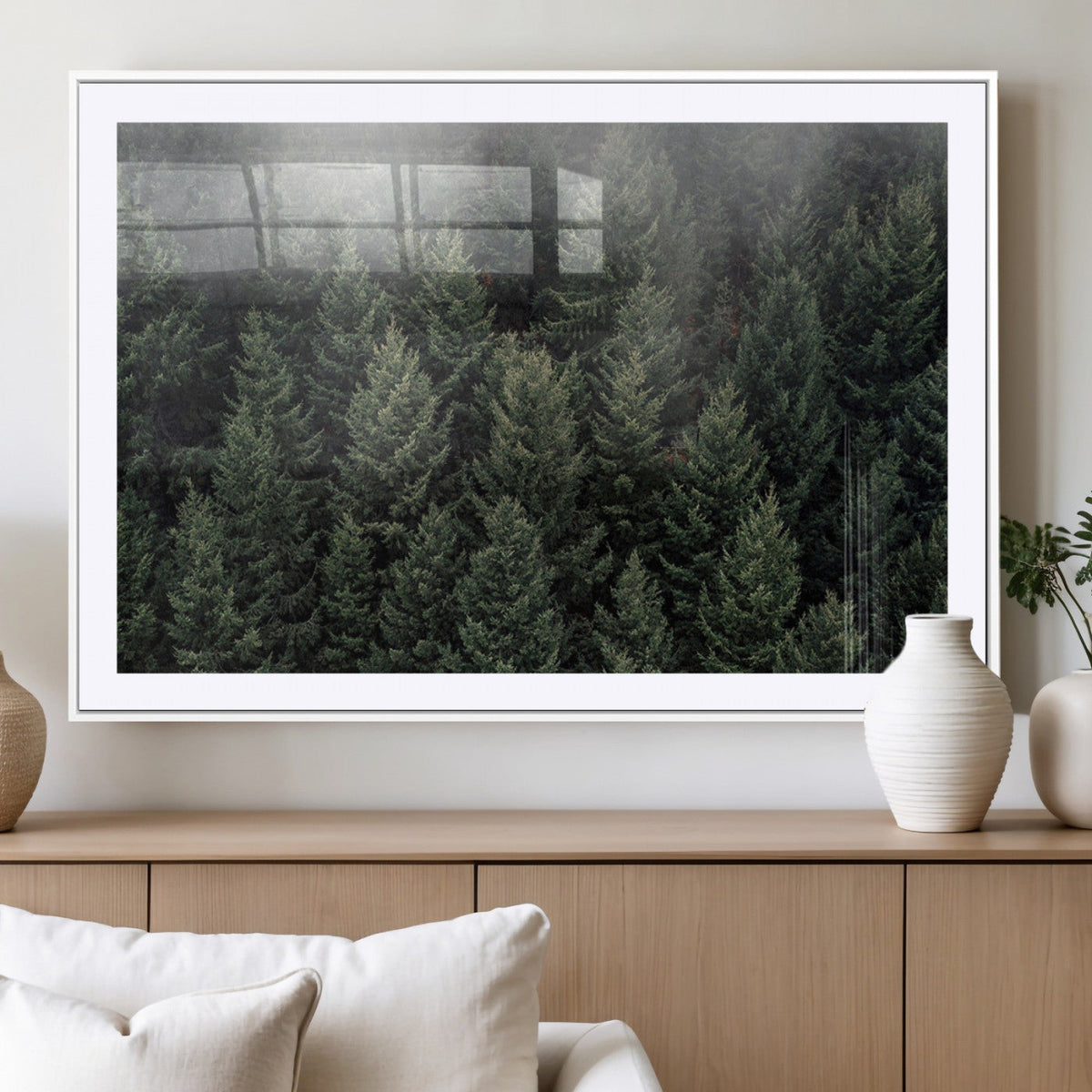 Dense Evergreen Forest Misty Morning Fog Pine Trees Woodland