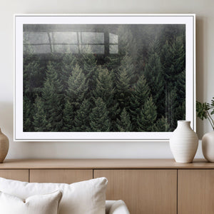 Dense Evergreen Forest Misty Morning Fog Pine Trees Woodland