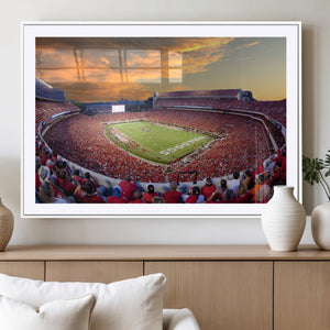 Dooley Stadium Wall Art, Sports Arena Canvas Print, Dooley
