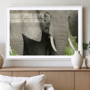 Wild Elephant Wall Art Canvas Print