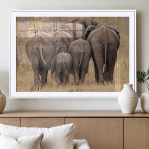 Wild Elephant Wall Art Canvas Print