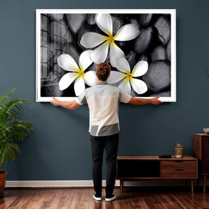 Plumeria Frangipani Black Stone Canvas | White Flower Spa