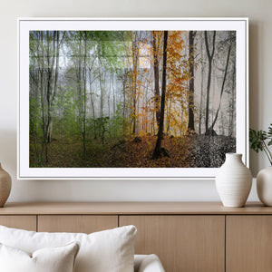 Four Seasons Wall Art Forest Canvas Print – Triptych
