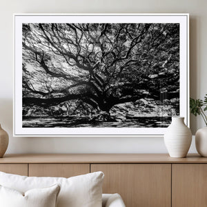 Mighty Angel Oak Wall Art | Angel Oak Tree Art Print