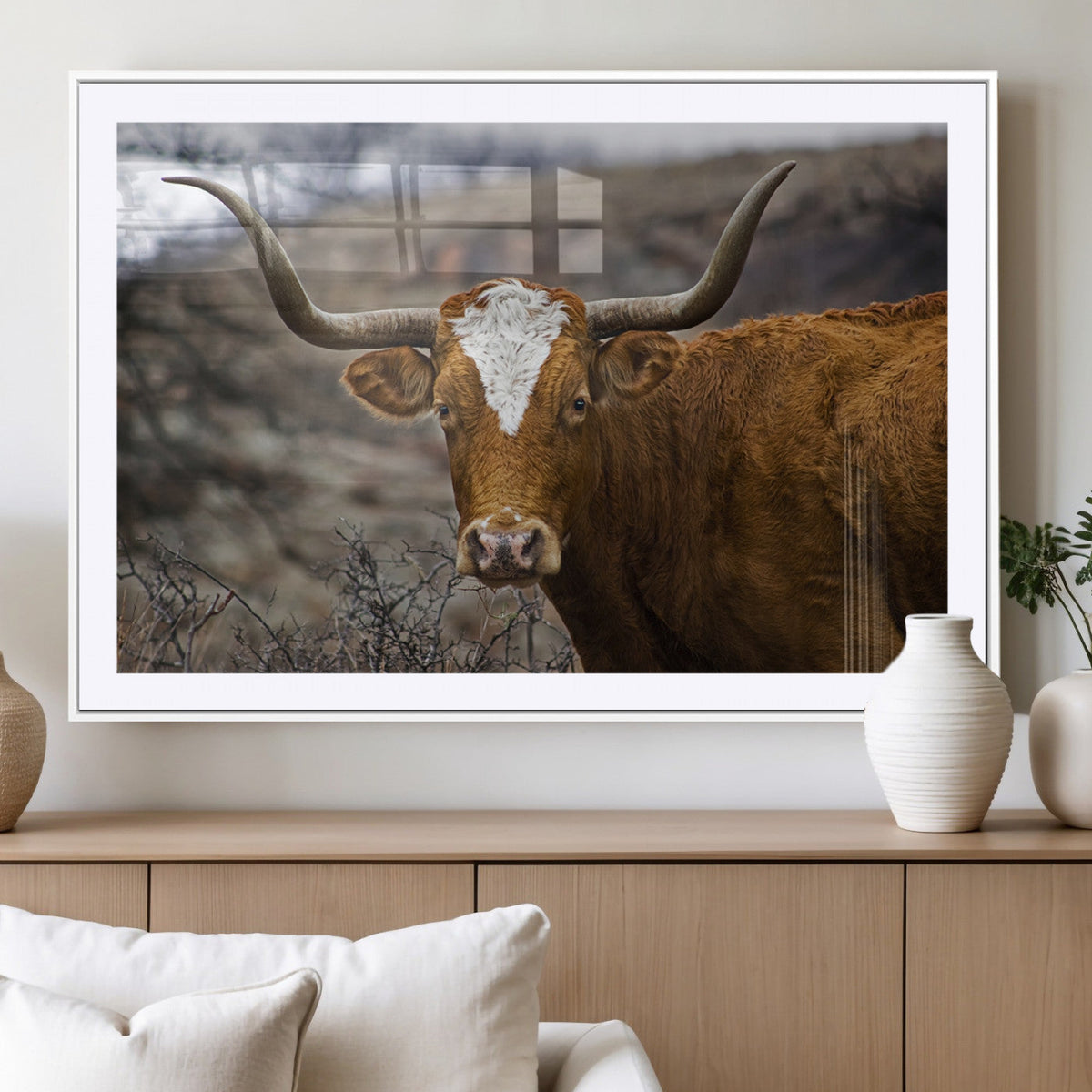 Texas Longhorn Canvas Wall Art - Longhorn Steer Canvas Wall
