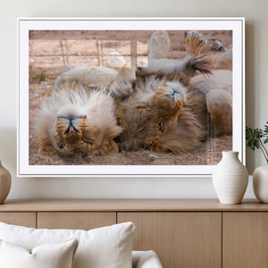 Lion Pair Wall Art Canvas Print – Framed Wildlife Scene with