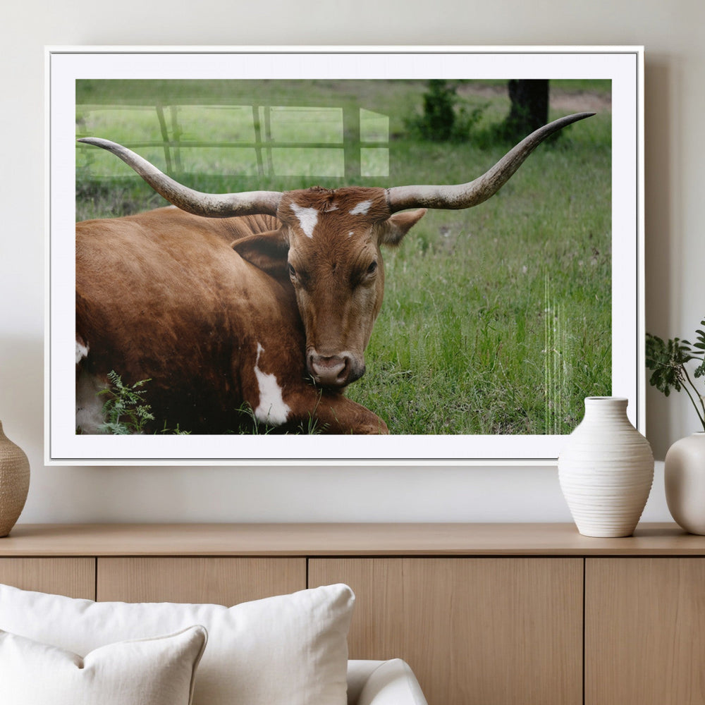 Longhorn Cow Animal Wall Art Canvas Print