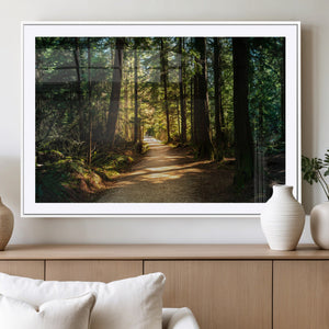 Sunlit Forest Pathway Canvas Print | 3 Panel Large Nature