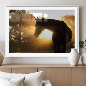 Horse at Sunset Wall Art Animal Canvas Print