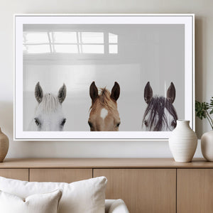 Horse Prints Set, Set of 3 Horse Wall Art, Horses Portraits,