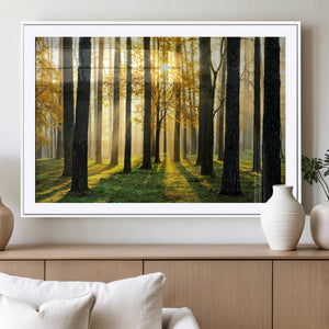 Sunlit Forest Wall Art Canvas Print – Large Framed Woodland