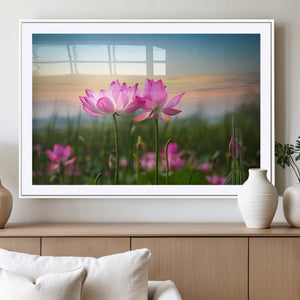 Pink Flower on the Mountain Canvas Print, Framed Pink Flower