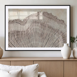 Tree Ring Wall Art Triptych, Rustic Wood Ring Canvas Print,