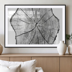 Rustic Tree Ring Wall Art Canvas Print – Framed and Ready to