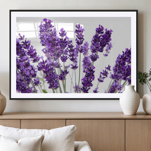 Lavender Flower Wall Art Canvas Print
