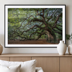 Historic Tree Wall Art – Framed Mossy Branch Canvas Artwork,