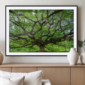 Oak Tree Wall Art Print, Forest Canvas Wall Art for Home and