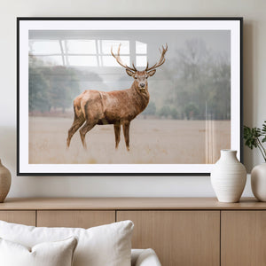 Vintage Wildlife Wall Art Canvas Print – Misty Landscape