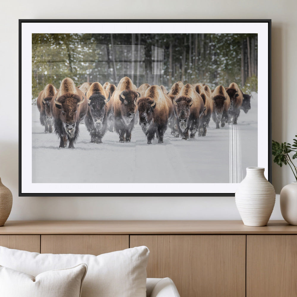 American Bison Herd Wall Art Canvas Print – Powerful Winter