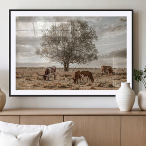Texas Longhorn Cattle Wall Art, Rustic Western Ranch Canvas