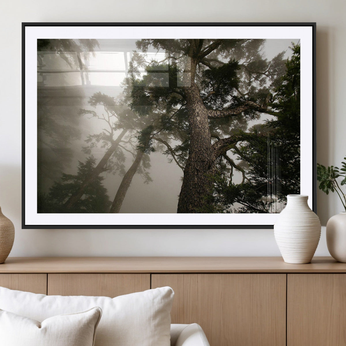 Misty Forest Canvas, Tall Trees Foggy Atmosphere Nature