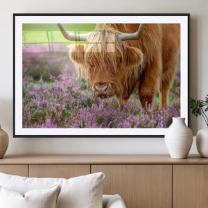 Highland Cow Wall Art Canvas Print – Framed Purple Flowers