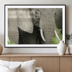 Wild Elephant Wall Art Canvas Print