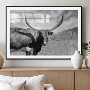 Cattle Wall Art Longhorn Cow Canvas Print