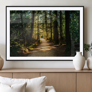 Sunlit Forest Pathway Canvas Print | 3 Panel Large Nature