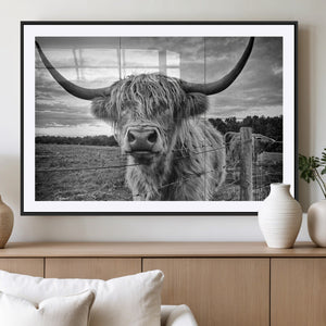 Scottish Highland Cow Wall Art Canvas Print | Ready to Hang