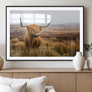 Scottish Highland Cow Canvas Wall Art – Rustic Farmhouse