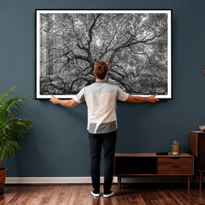 Majestic Angel Oak Tree Black and White Canvas Print – Multi